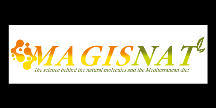 MAGISNAT