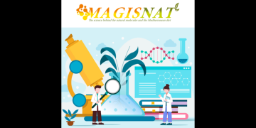 Magisnat
