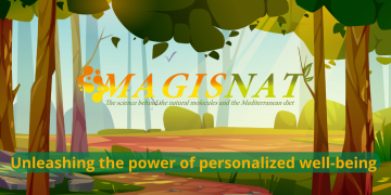 Magisnat
