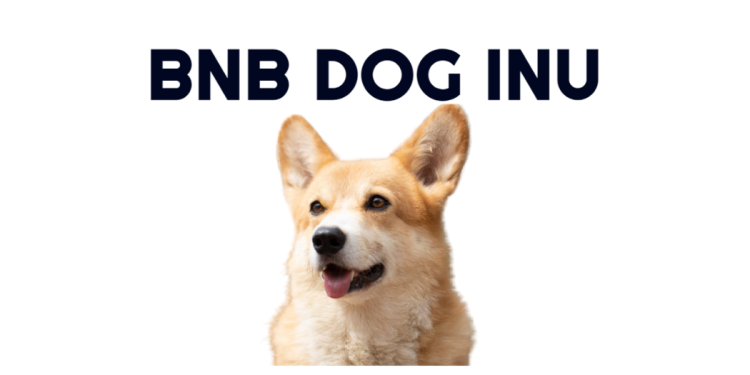 BNB Dog Inu