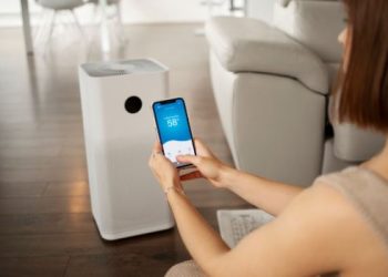 Best Indoor Air Purifiers That Help Prevent Airborne Mold Spores