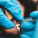 An expert talks: the best the best dental care for dog